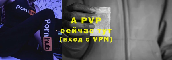 ALPHA PVP Белокуриха