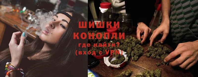 Бошки марихуана Amnesia  купить  цена  Дивногорск 